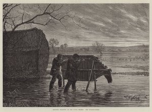 Shooting Wildfowl on the Upper Thames, the Stalking-Horse