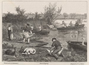 Swan-Hopping by Henry Robert Robertson