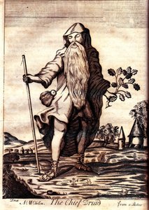 The Chief Druid from Mona Antiqua Restaurata