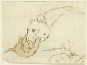Five Sketches of Lions: Lioness with Cub by Henry Stacy Marks