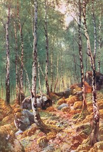 A Birch-Wood in Springtime, by Loch Maree, Ross-Shire by Henry Sutton Palmer