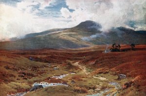 A Moor near Killin, Perthshire
