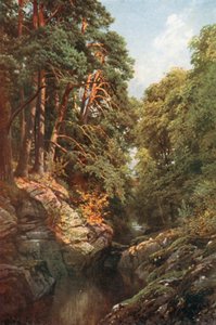 A Wooded Gorge, Killin, Perthshire by Henry Sutton Palmer