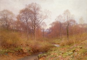 A Wooded River, Landscape Autumn