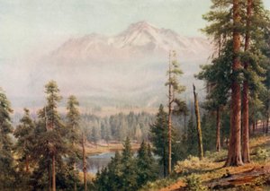 Mount Shasta