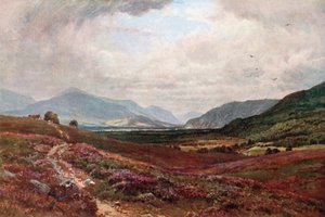 The Grampians from Boat of Garten, Inverness-Shire