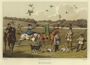Hawking by Henry Thomas Alken