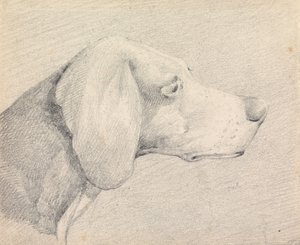 Head of a Foxhound, in Profile Right by Henry Thomas Alken