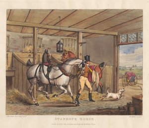 Horses [Set of Six]: 2. Stanhope Horse by Henry Thomas Alken