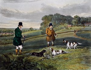 Partridge hunting
