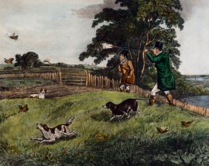 Partridge Hunting