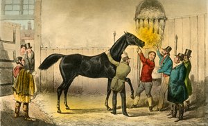The Baron Vills His Wet, 1838