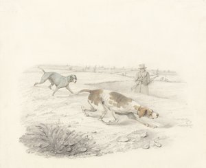 Two Pointers, facing right with a Sportsman by Henry Thomas Alken