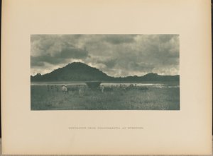 Returning from Polonnaruwa at Evening by Henry W. Cave