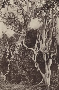 Ruined Cities of Ceylon: Kotuwa by Henry W. Cave