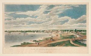 View of Geneva, Ontario County, N.Y.
