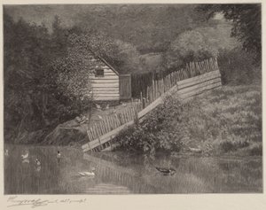 A Duck Pond by Henry Wolf