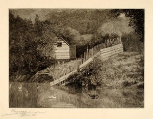 A Duck Pond by Henry Wolf