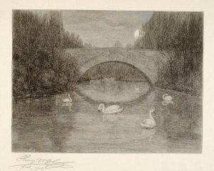 Evening, Swan Lake, Central Park, New York by Henry Wolf