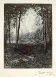 In the Adirondacks by Henry Wolf