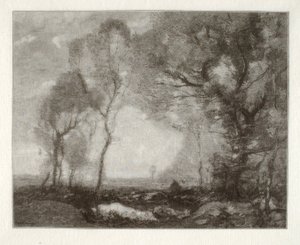 Landscape by Henry Wolf