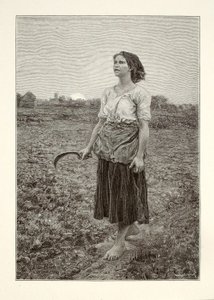 Song of the Lark by Henry Wolf