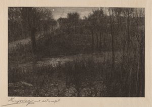 The Evening Star by Henry Wolf