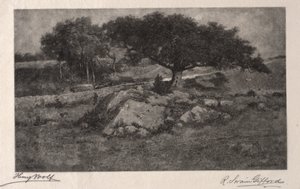 The Roadside by Henry Wolf