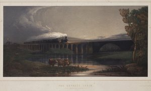 The Express Train