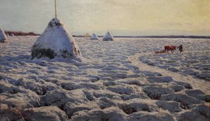 Lithuanian Swamps Under Snow