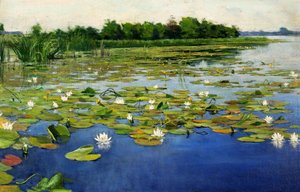 Water Lilies
