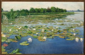 Water Lilies