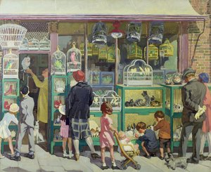 The Pet Shop by Herbert Ashwin Budd