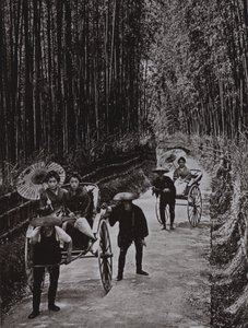 A Bamboo Avenue at Kyoto by Herbert Ponting