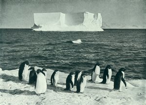 A Berg Drifting in McMurdo Sound by Herbert Ponting