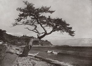 Atami by Herbert Ponting