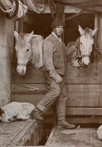Captain Oates and Ponies on the Terra Nova by Herbert Ponting