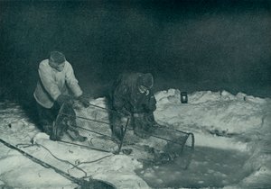 Dr. Atkinson and Clissold Hauling Up The Fish-Trap, 28 May 1911 by Herbert Ponting