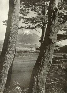 Fuji Through the Pines of Lake Motosu by Herbert Ponting
