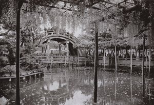 Kameido by Herbert Ponting
