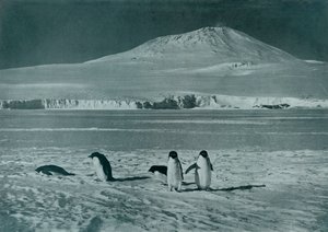 Mount Erebus by Herbert Ponting