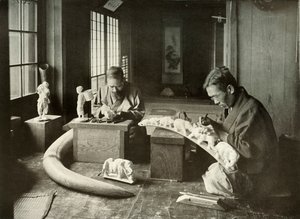 The Ivory Carvers
