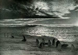 The Midnight Sun in McMurdo Sound by Herbert Ponting