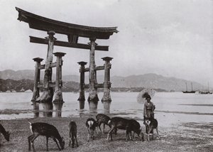 The Old Torii at Miyajima by Herbert Ponting