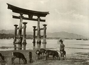 The Old Torii at Miyajima by Herbert Ponting