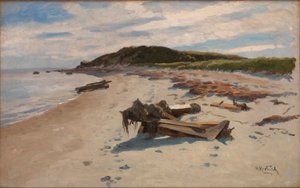 Cape Cod, Beach by Herman Hartwich