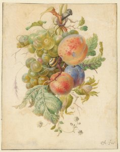 Festoon of Fruits by Herman Henstenburgh