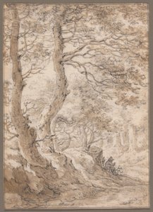 A Forest Interior, with a Seated Figure by Herman Saftleven