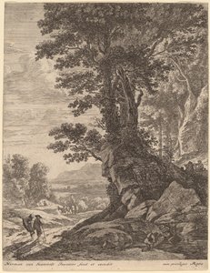 A Group of Trees