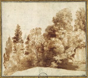 Group of Trees at a Wall